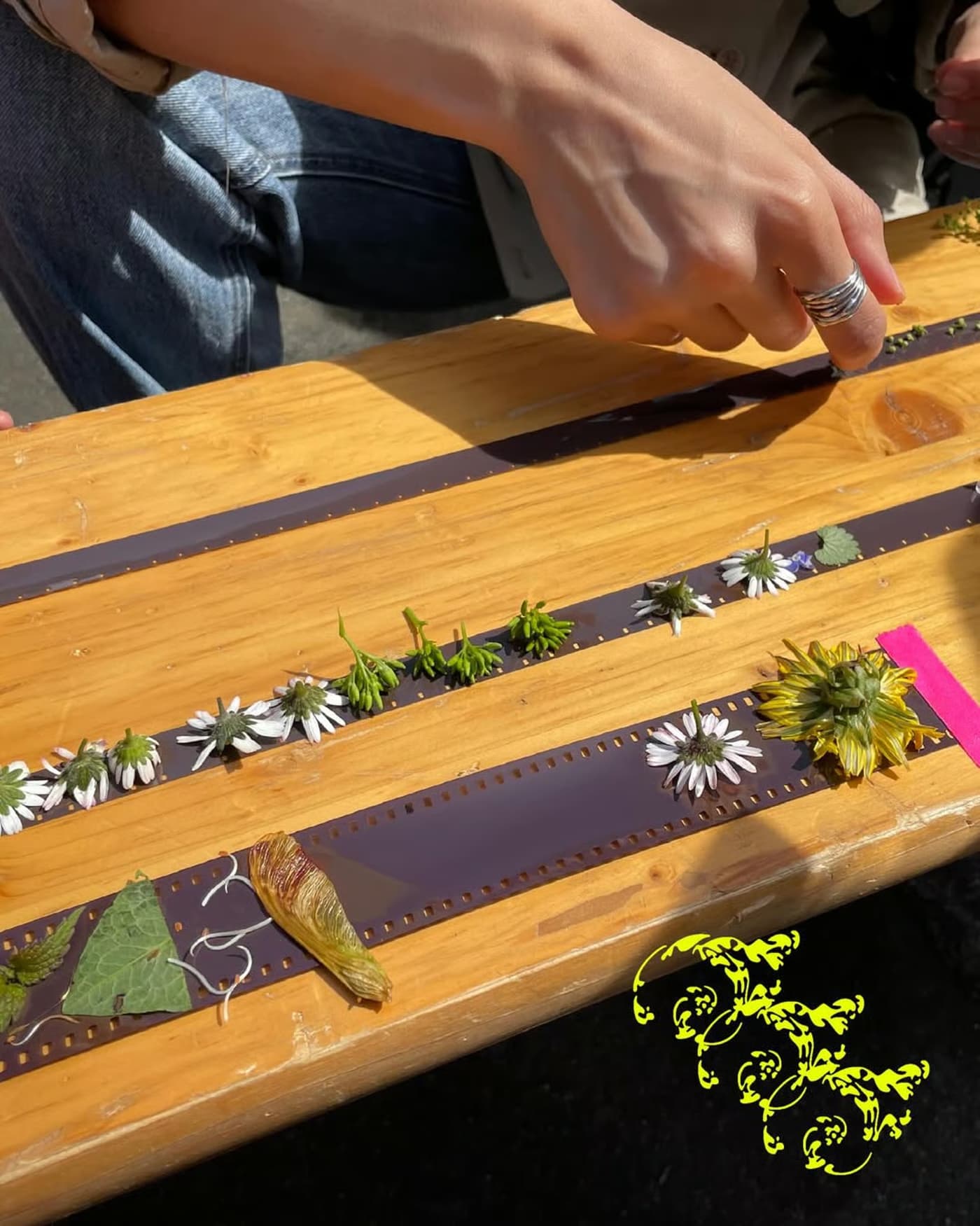 Fitogramas — Oficina Com Juliana Julieta