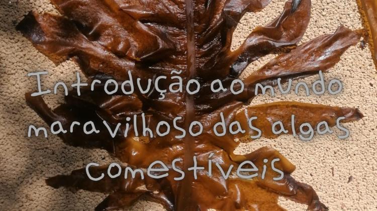Introducao ao Mundo Maravilhoso das Algas Comestiveis