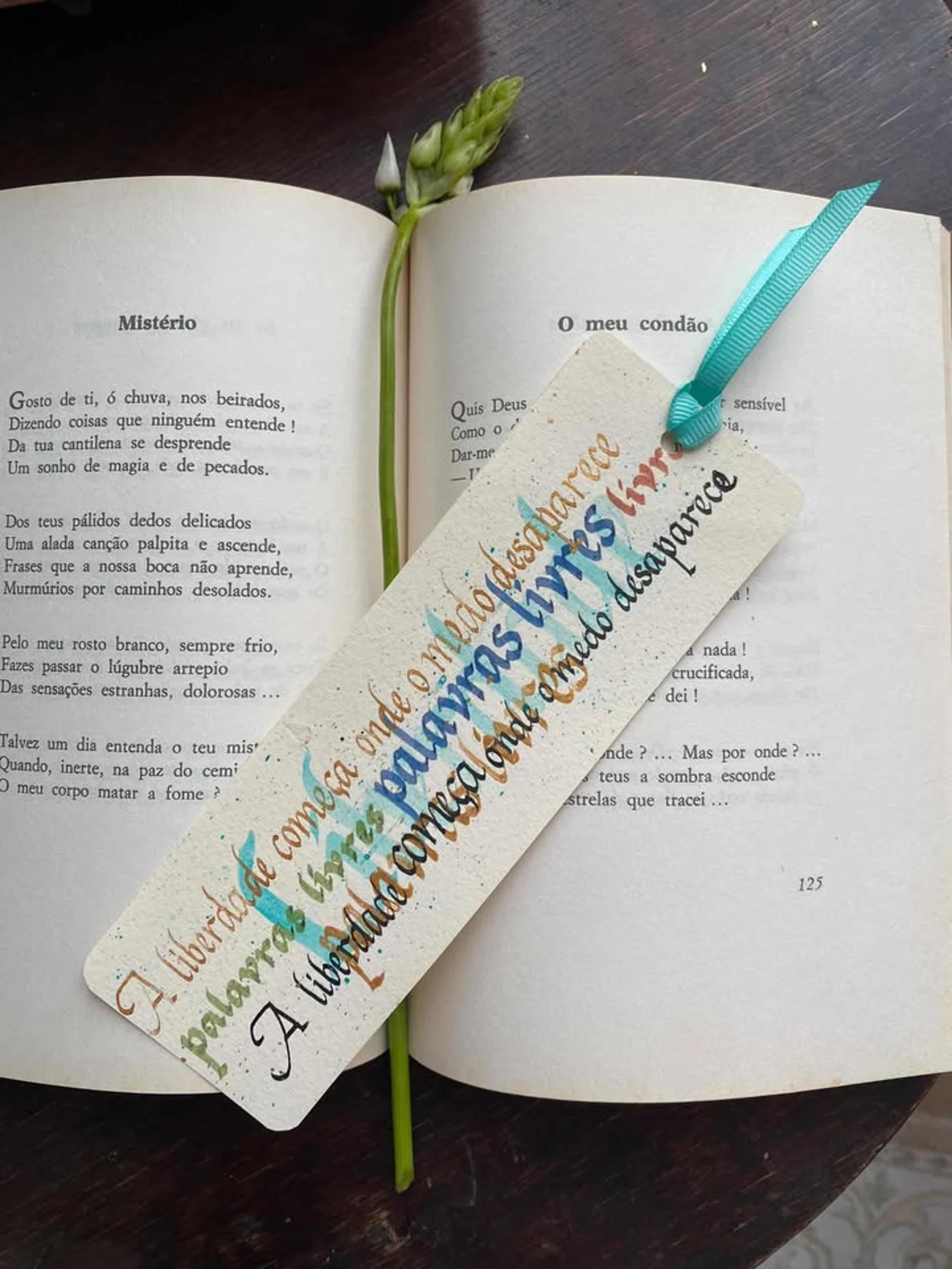 “Palavras Livres” leva a caligrafia itálica e a criação artística ao MACS num workshop intimista no Porto