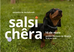 Salsichêra junta cães-salsicha e donos no Porto para encontro gratuito cheio de teckels, convívio e diversão