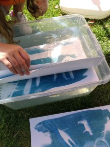 Cianotipia em família: fotografia, sol e azul na Oficina Josefina