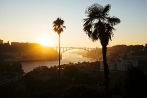 Onde fazer piqueniques no Porto: 20 parques e jardins