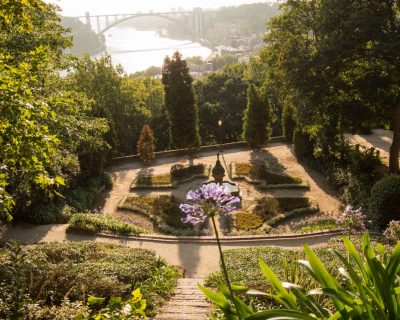 Jardim do Palácio de Cristal by Miguel Aguiar_Easy-Resize.com