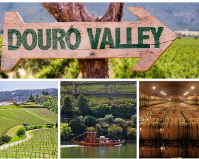Tour Vale do Douro Degustação de Vinhos Cruzeiro e Almoço Tour Vale do Douro Degustação de Vinhos Cruzeiro e Almoço