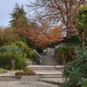 jardim dos cactos Jardim botânico do Porto